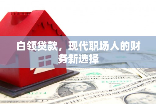 亭湖白领贷款，现代职场人的财务新选择