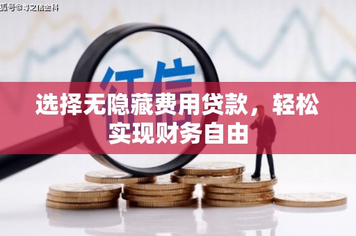 亭湖选择无隐藏费用贷款，轻松实现财务自由