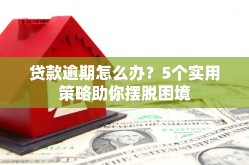 亭湖贷款逾期怎么办？5个实用策略助你摆脱困境