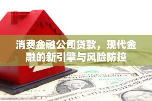 亭湖消费金融公司贷款，现代金融的新引擎与风险防控