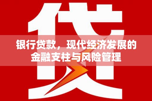 亭湖银行贷款，现代经济发展的金融支柱与风险管理