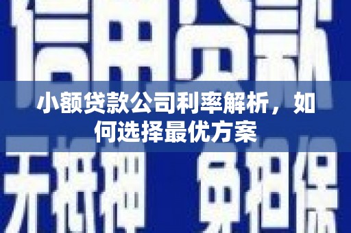 亭湖小额贷款公司利率解析，如何选择最优方案