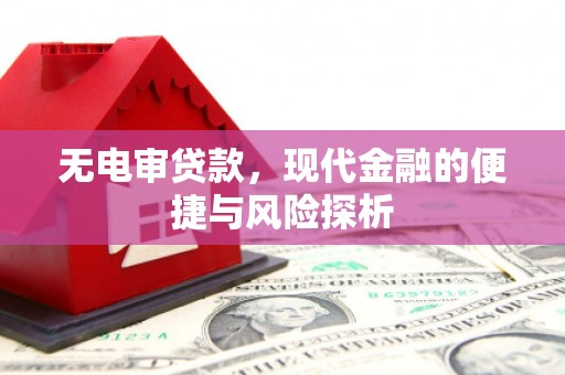 亭湖无电审贷款，现代金融的便捷与风险探析