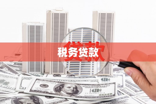 亭湖税务贷款