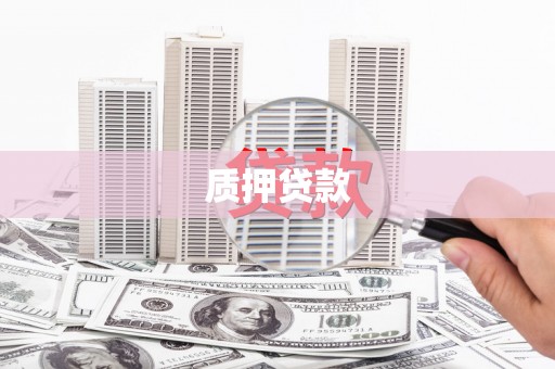 亭湖质押贷款