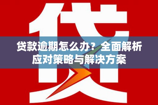 亭湖贷款逾期怎么办？全面解析应对策略与解决方案