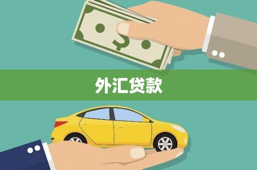 亭湖外汇贷款