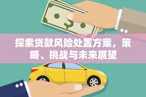 亭湖探索贷款风险处置方案，策略、挑战与未来展望