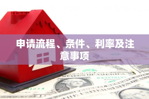 亭湖申请流程、条件、利率及注意事项