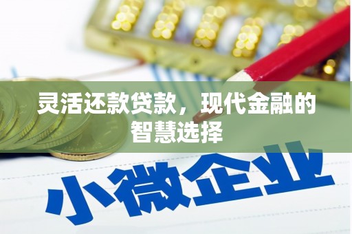 亭湖灵活还款贷款，现代金融的智慧选择