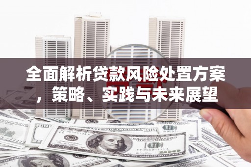 亭湖全面解析贷款风险处置方案，策略、实践与未来展望