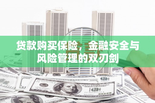 亭湖贷款购买保险，金融安全与风险管理的双刃剑