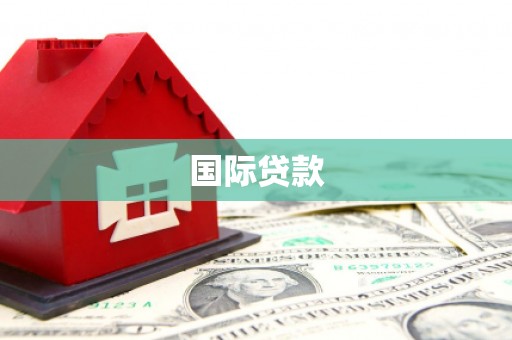 亭湖国际贷款