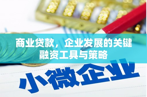 亭湖商业贷款，企业发展的关键融资工具与策略