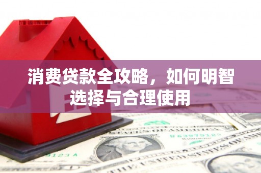 亭湖消费贷款全攻略，如何明智选择与合理使用