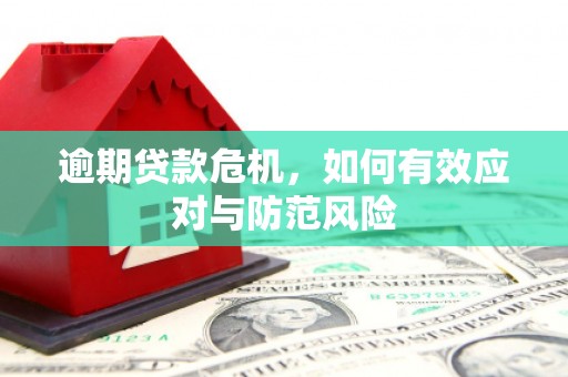 亭湖逾期贷款危机，如何有效应对与防范风险