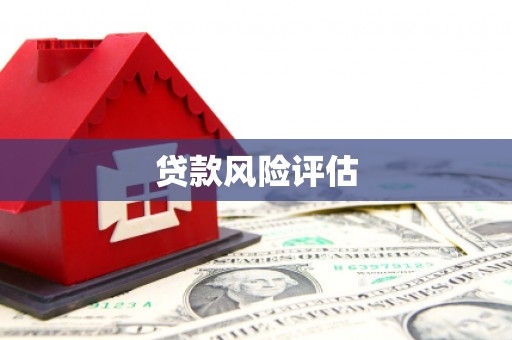 亭湖贷款风险评估