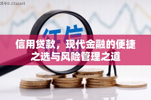 亭湖信用贷款，现代金融的便捷之选与风险管理之道