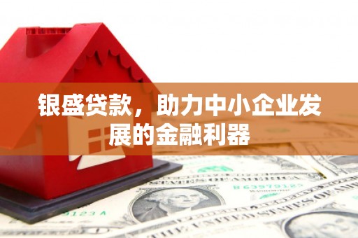 亭湖银盛贷款，助力中小企业发展的金融利器