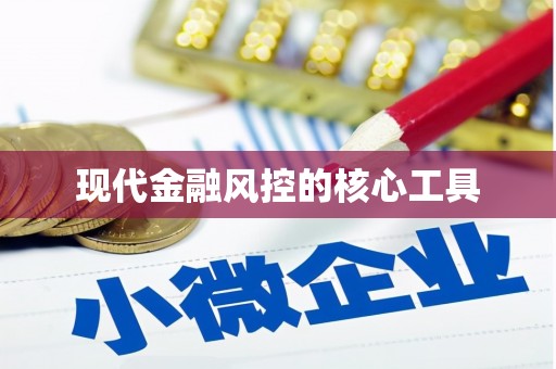亭湖现代金融风控的核心工具