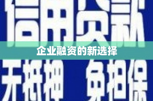 亭湖企业融资的新选择