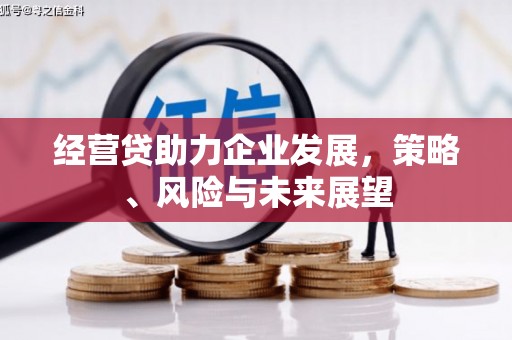 亭湖经营贷助力企业发展，策略、风险与未来展望