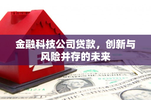 亭湖金融科技公司贷款，创新与风险并存的未来