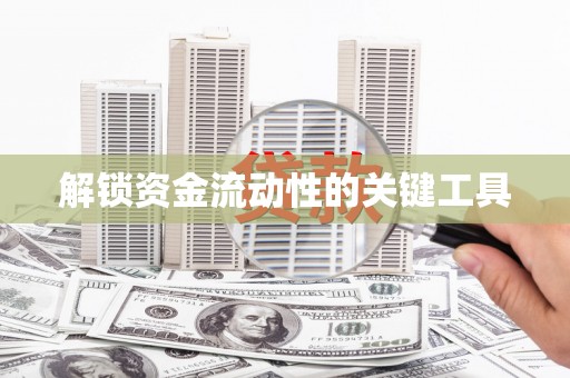亭湖解锁资金流动性的关键工具