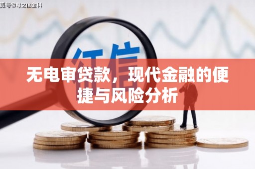 亭湖无电审贷款，现代金融的便捷与风险分析
