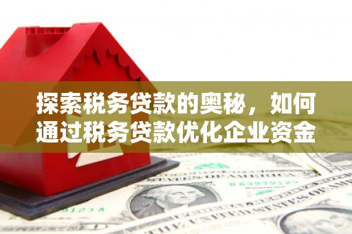 亭湖探索税务贷款的奥秘，如何通过税务贷款优化企业资金流