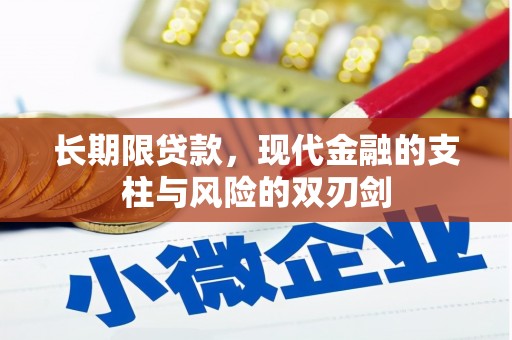亭湖长期限贷款，现代金融的支柱与风险的双刃剑