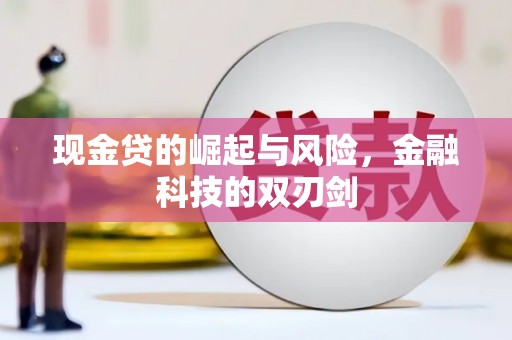 亭湖现金贷的崛起与风险，金融科技的双刃剑