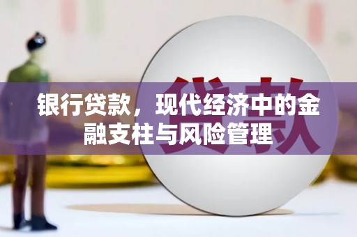 亭湖银行贷款，现代经济中的金融支柱与风险管理