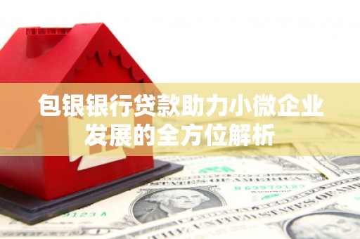 亭湖包银银行贷款助力小微企业发展的全方位解析 亭湖包银银行贷款助力小微企业发展的全方位解析