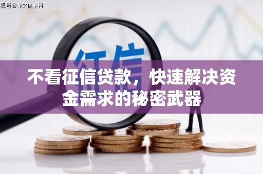 亭湖不看征信贷款，快速解决资金需求的秘密武器