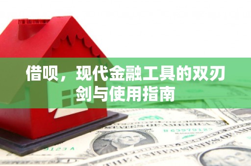 亭湖借呗，现代金融工具的双刃剑与使用指南