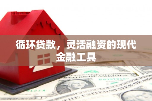 亭湖循环贷款，灵活融资的现代金融工具