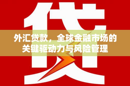 亭湖外汇贷款，全球金融市场的关键驱动力与风险管理