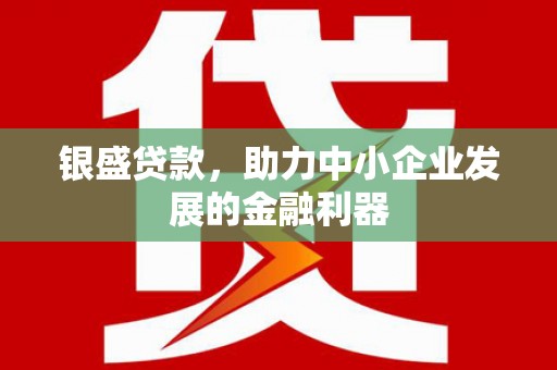 亭湖银盛贷款，助力中小企业发展的金融利器
