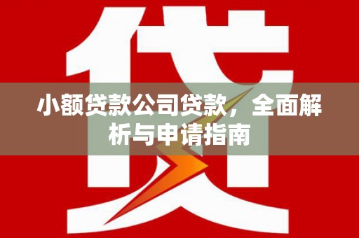 亭湖小额贷款公司贷款，全面解析与申请指南