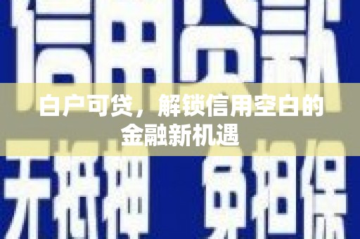 亭湖白户可贷，解锁信用空白的金融新机遇