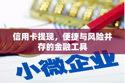 亭湖信用卡提现，便捷与风险并存的金融工具
