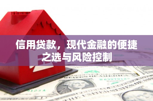 亭湖信用贷款，现代金融的便捷之选与风险控制