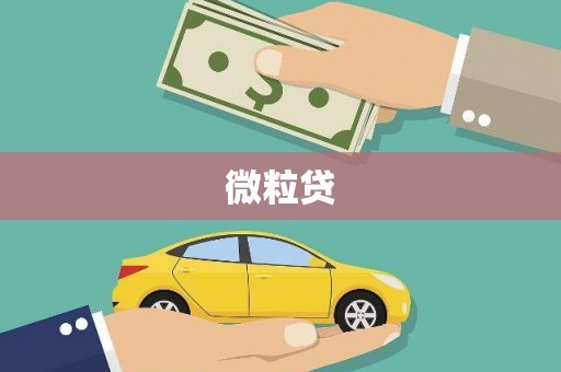 亭湖微粒贷