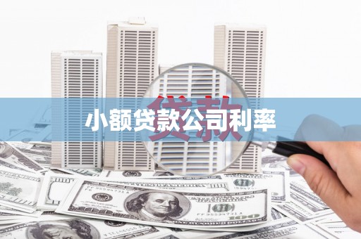 亭湖小额贷款公司利率