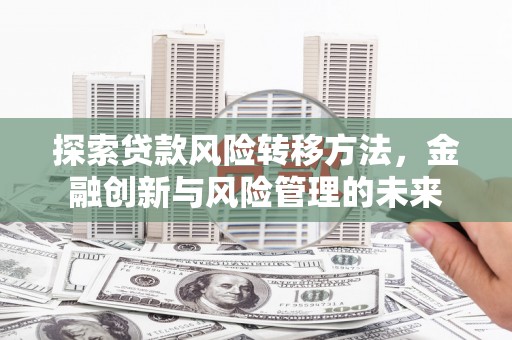 亭湖探索贷款风险转移方法，金融创新与风险管理的未来