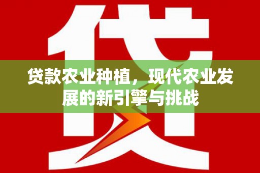 亭湖贷款农业种植，现代农业发展的新引擎与挑战