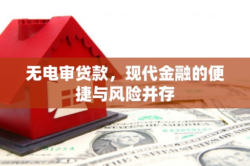 亭湖无电审贷款，现代金融的便捷与风险并存
