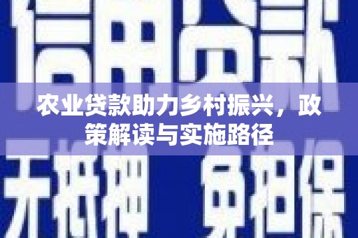 亭湖农业贷款助力乡村振兴，政策解读与实施路径