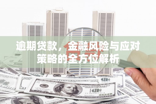 亭湖逾期贷款，金融风险与应对策略的全方位解析